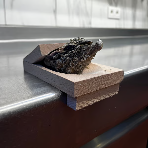 đĽChristmas 50% OFF - â¨Oyster Shucking Clamp