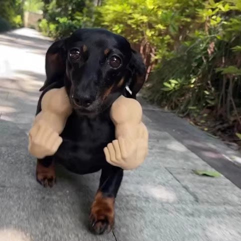 😹3D Printed Creative Cat's Muscle Arms Decorate😹