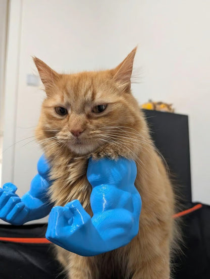 😹3D Printed Creative Cat's Muscle Arms Decorate😹