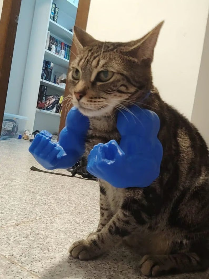 😹3D Printed Creative Cat's Muscle Arms Decorate😹