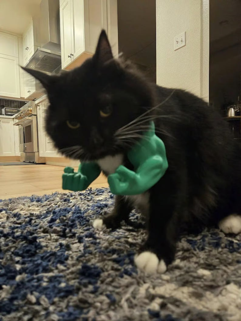 😹3D Printed Creative Cat's Muscle Arms Decorate😹