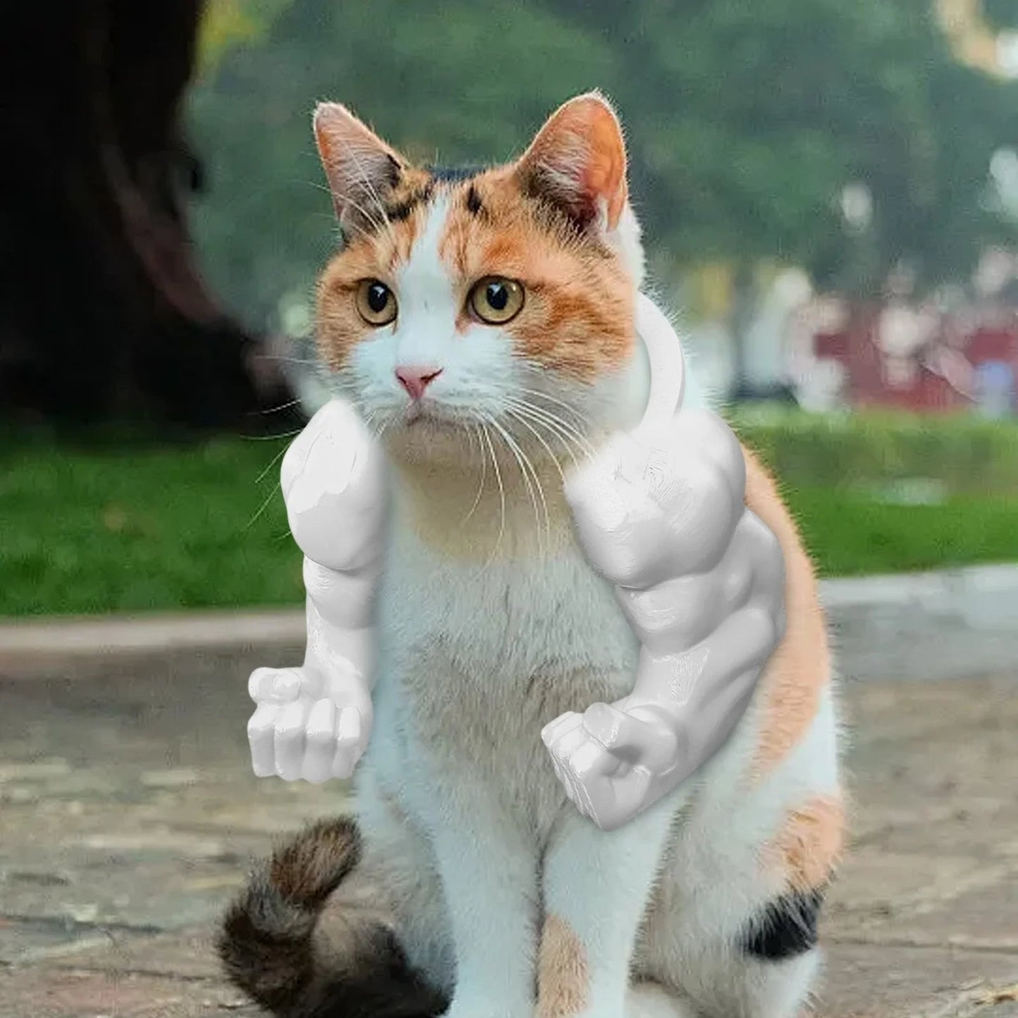 😹3D Printed Creative Cat's Muscle Arms Decorate😹