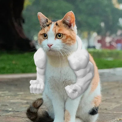 😹3D Printed Creative Cat's Muscle Arms Decorate😹