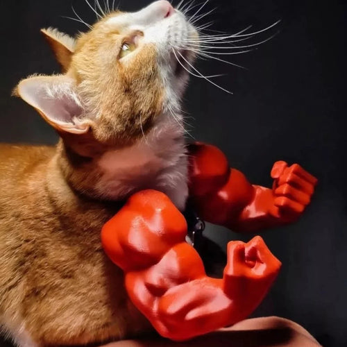 😹3D Printed Creative Cat's Muscle Arms Decorate😹