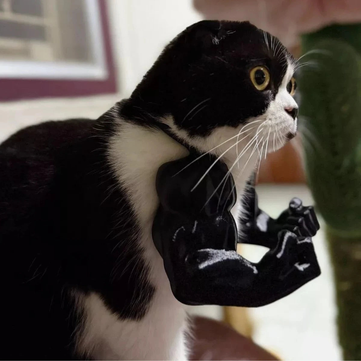 😹3D Printed Creative Cat's Muscle Arms Decorate😹