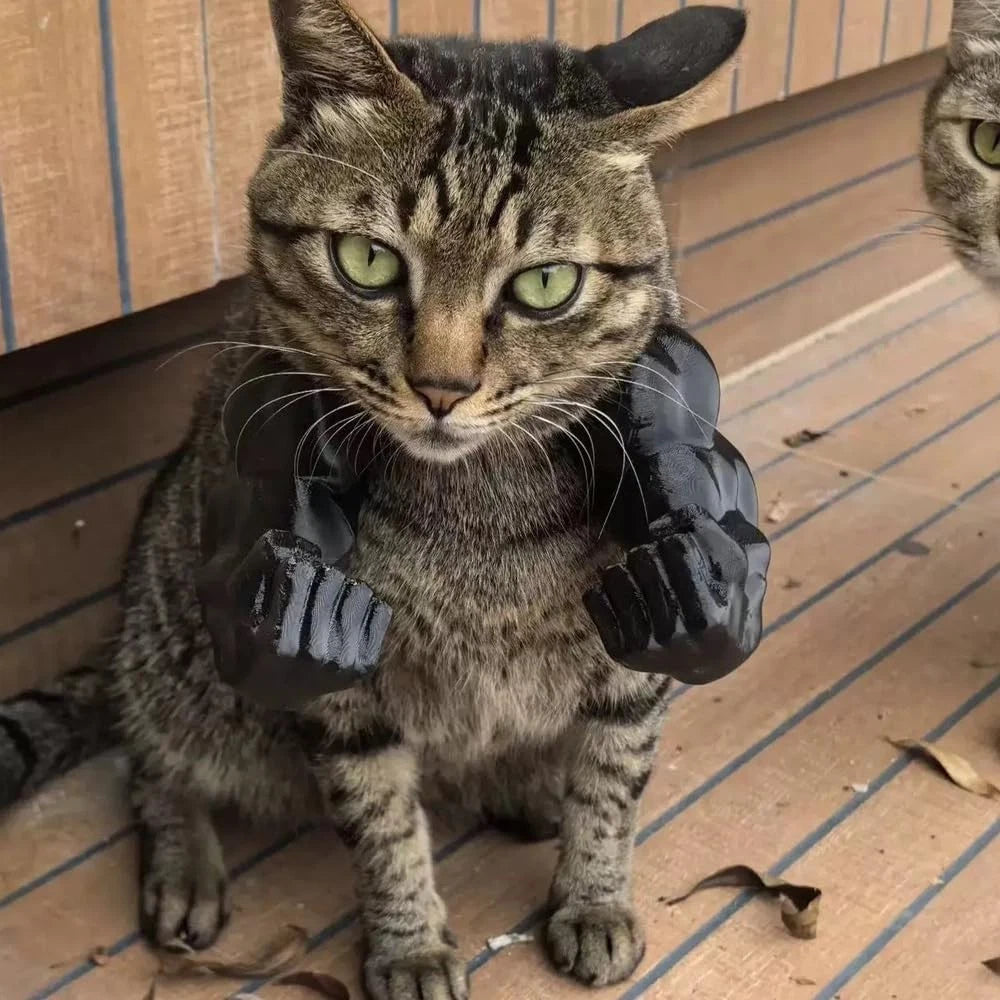 😹3D Printed Creative Cat's Muscle Arms Decorate😹