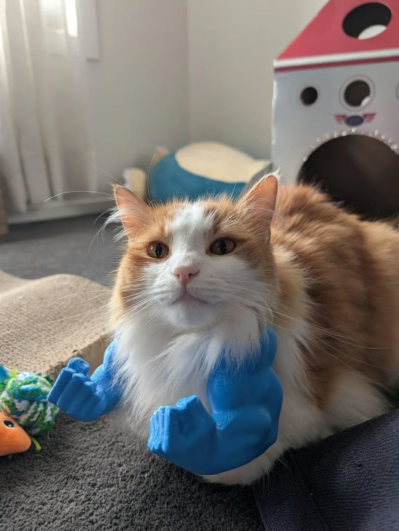😹3D Printed Creative Cat's Muscle Arms Decorate😹