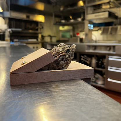 🔥Christmas 50% OFF - ✨Oyster Shucking Clamp