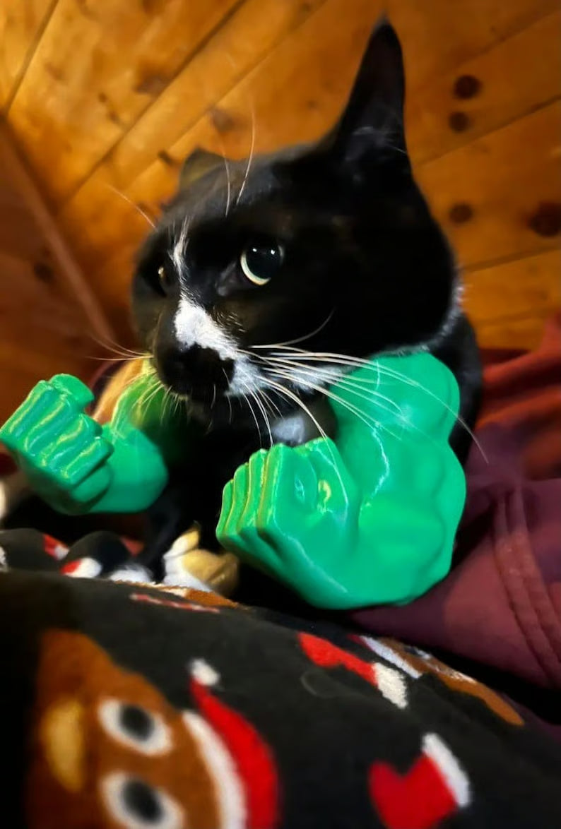 😹3D Printed Creative Cat's Muscle Arms Decorate😹